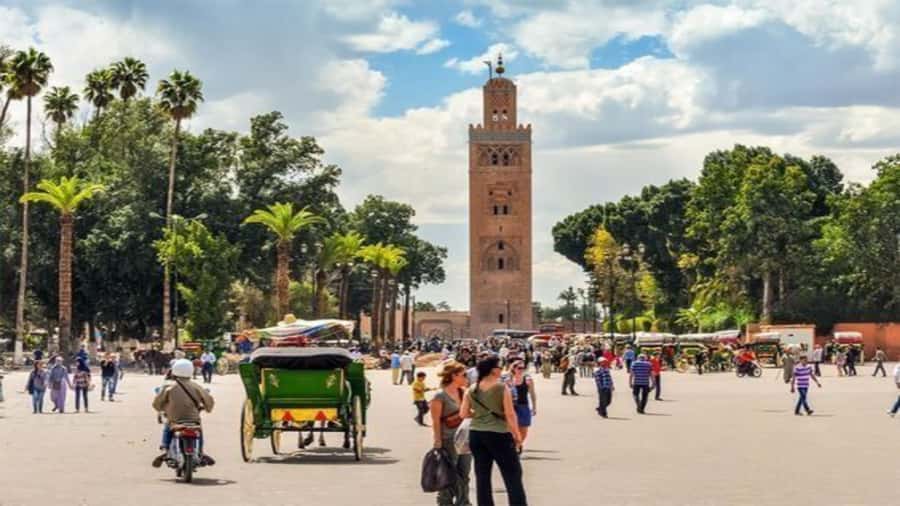 From Casablanca: Day Trip to Marrakech with Camel Ride - A quieter pause at the Secret Garden