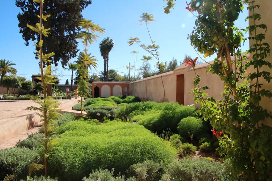 From Casablanca: Marrakech Guided Day Trip with Camel Ride - The Secret Garden, a quiet break in the old city
