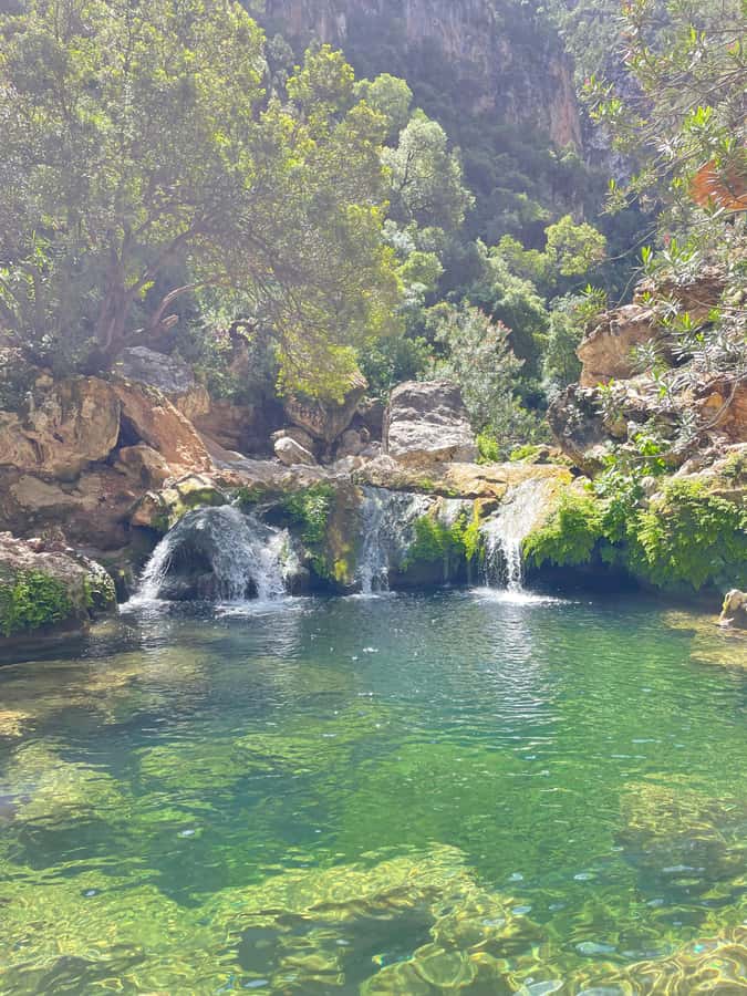 From Chefchaouen: Full-Day Trip to Akchour Waterfalls - Monkeys, rocks, and the realities of the park