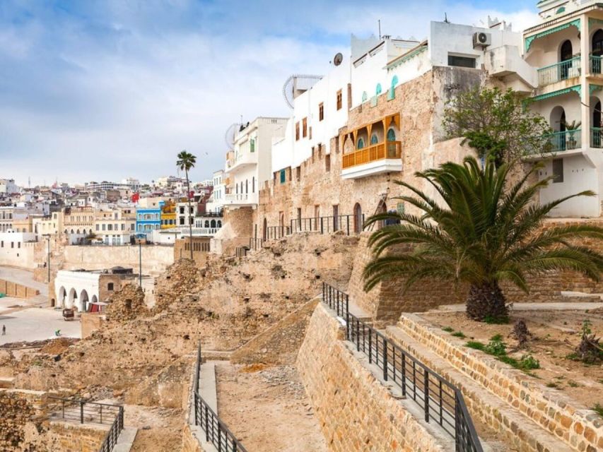 From Costa del Sol: Discover Tangier on a Guided Day Trip - Who will enjoy this Tangier day trip?