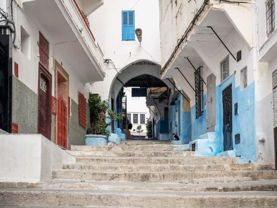 From Costa del Sol: Discover Tangier on a Guided Day Trip - How much time do you really get in Tangier?