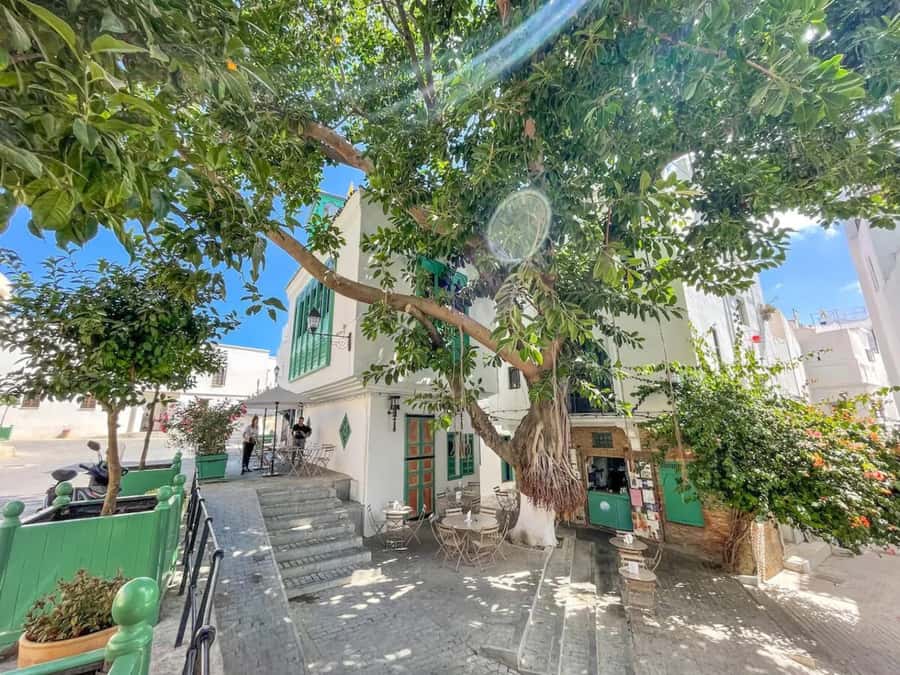 From Costa del Sol: Discover Tangier on a Guided Day Trip - The price and what it covers