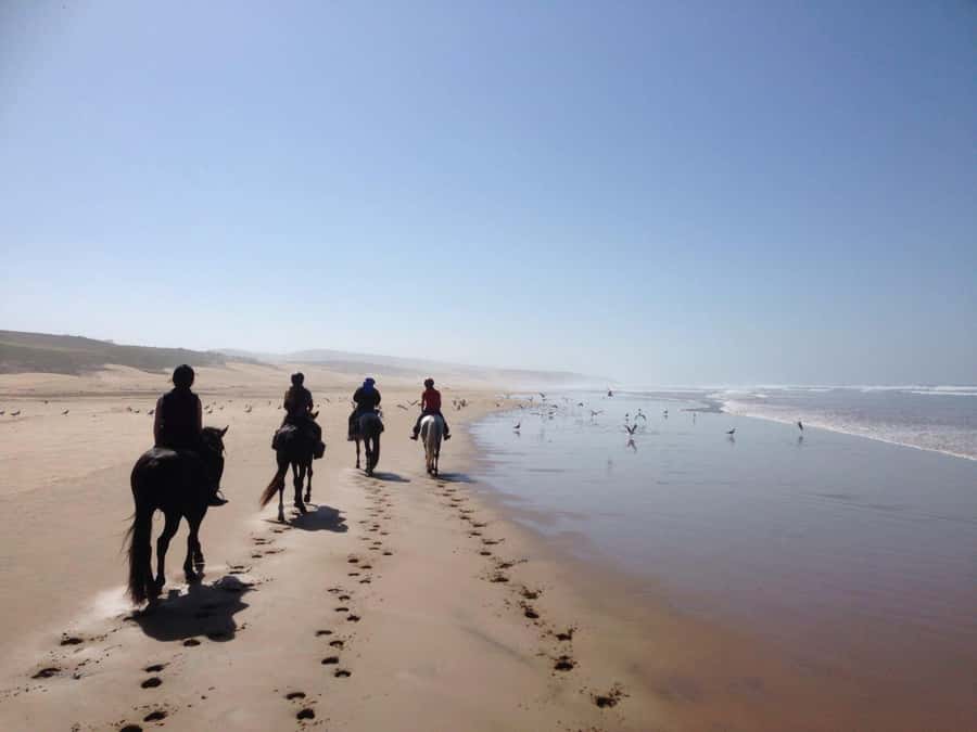 From Essaouira: 1-Hour Horse Ride - Key Points