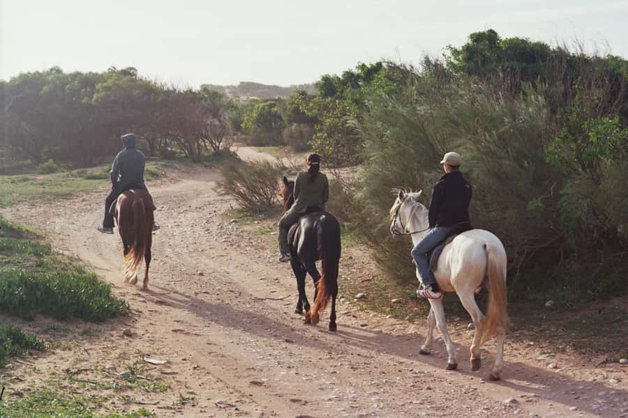 From Essaouira: 1-Hour Horse Ride - From Petite Porte de Bab Marrakech to Ranch de Diabat