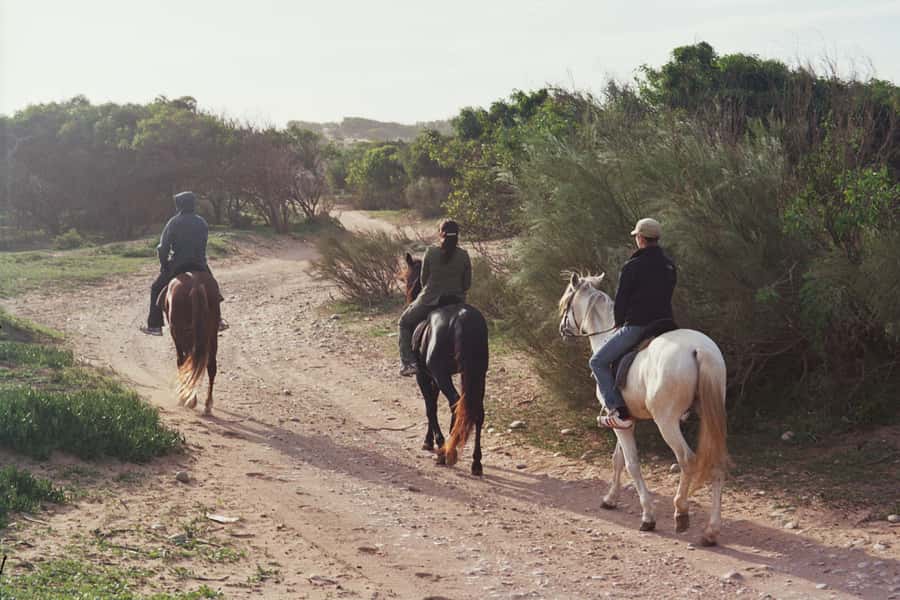 From Essaouira: 1-Hour Horse Ride - Crossing the River Country and Palace Ruins