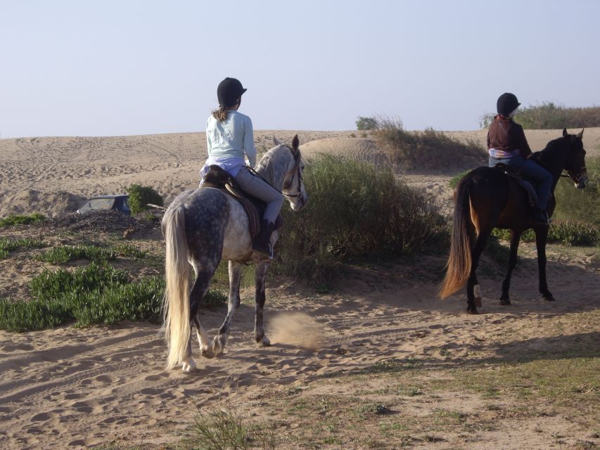 From Essaouira: 1-Hour Horse Ride - The Beach Run and Mogador Island View
