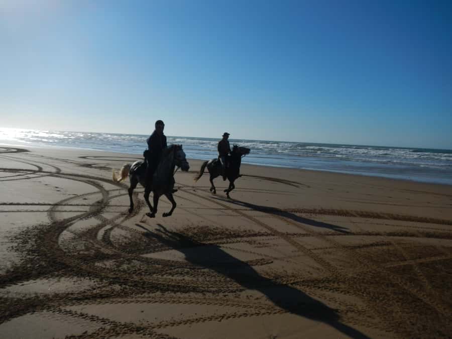 From Essaouira: 2h Horseback Ride with Sunset - Key points at a glance