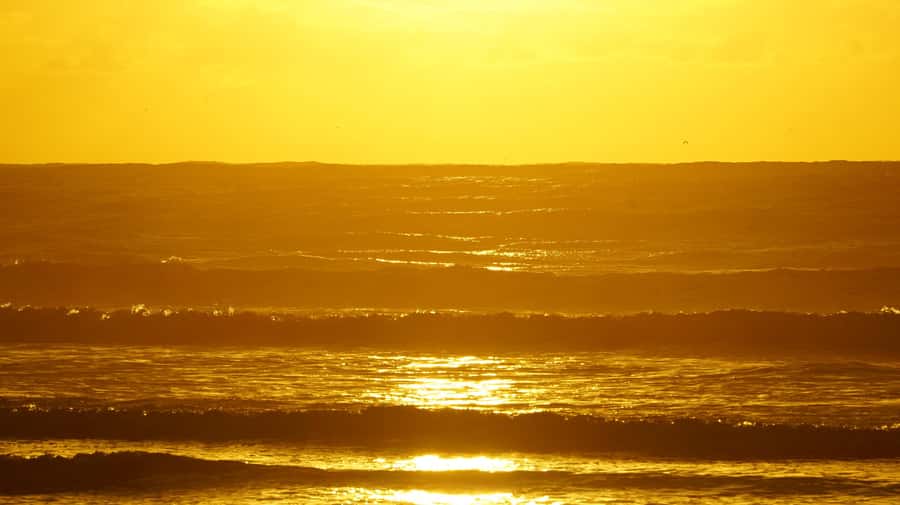 From Essaouira: 2h Horseback Ride with Sunset - From Essaouira to the Ranch de Diabat