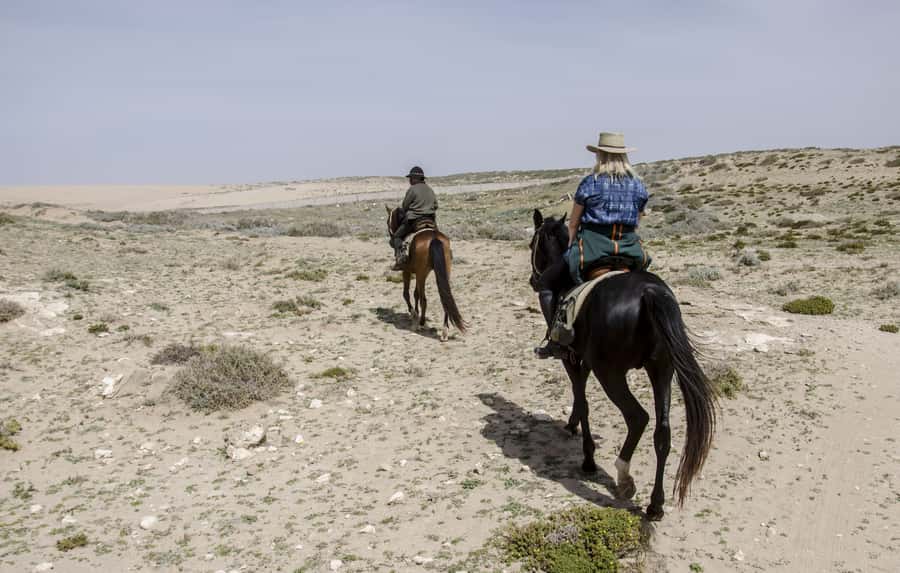 From Essaouira: 2h Horseback Ride with Sunset - Sunset over the Atlantic