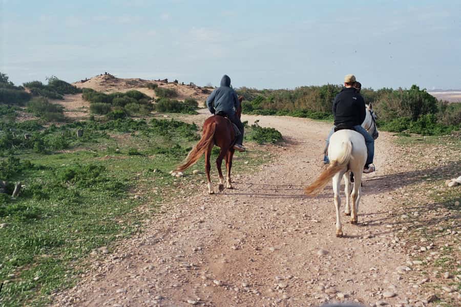 From Essaouira: 2h Horseback Ride with Sunset - Is $73 good value?