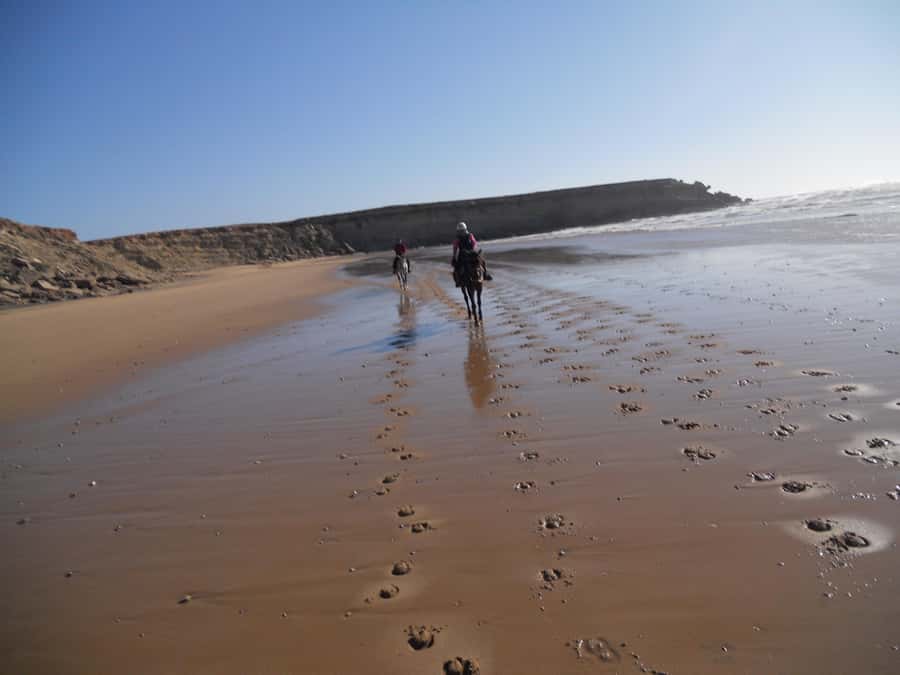 From Essaouira: 2h Horseback Ride with Sunset - Meeting an Arabian-Berber horse