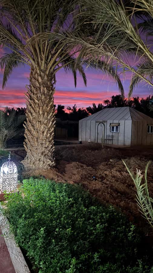 From Fes: 2-Day Desert Tour with Return to Fes or Marrakech - The long road south from Fes