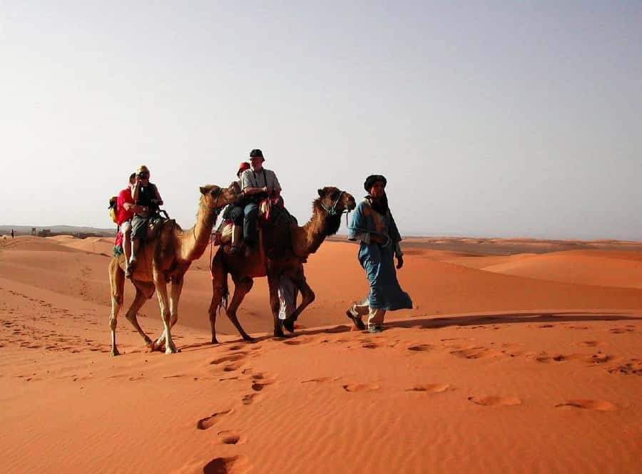 From Fes: 2-Day Luxury Desert Tour to Marrakech & Back Fez - Key points to know before you book