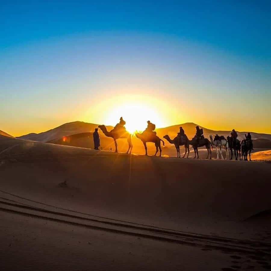 From Fes: 2-Day Luxury Desert Tour to Marrakech & Back Fez - Midelt lunch and the long road south