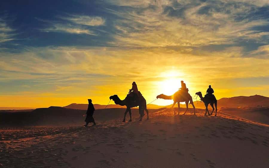 From Fes: 2-Day Luxury Desert Tour to Marrakech & Back Fez - Camel riding at sunset