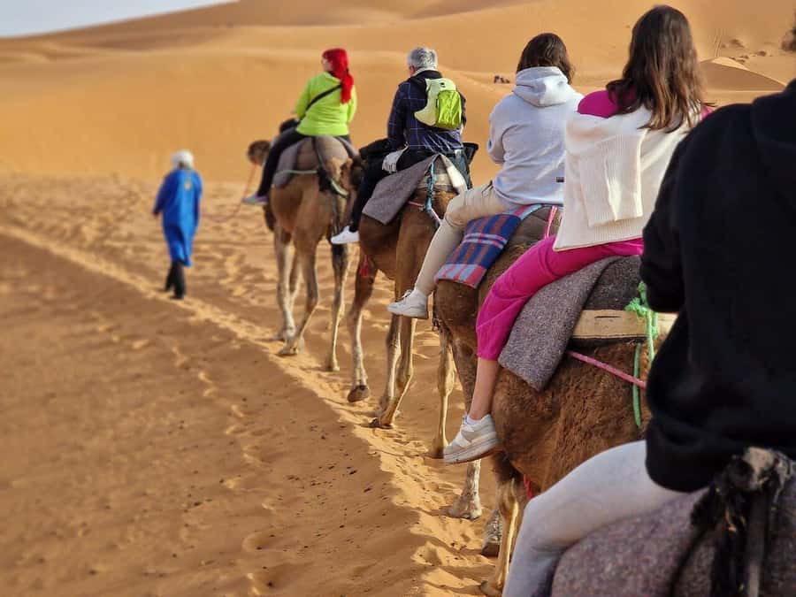 From Fes: 2-Day Luxury Desert Tour to Marrakech & Back Fez - Who will enjoy this route most