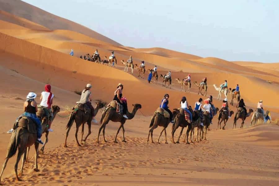 From Fes: 2-Day Luxury Desert Tour to Marrakech & Back Fez - How to get better value from the $112 price
