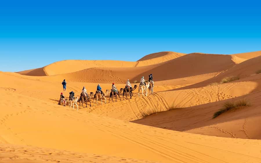 From Fes: 2-Day Merzouga Desert Trip(Luxury Tent & Dinner) - The Fez to Merzouga road is the real first act