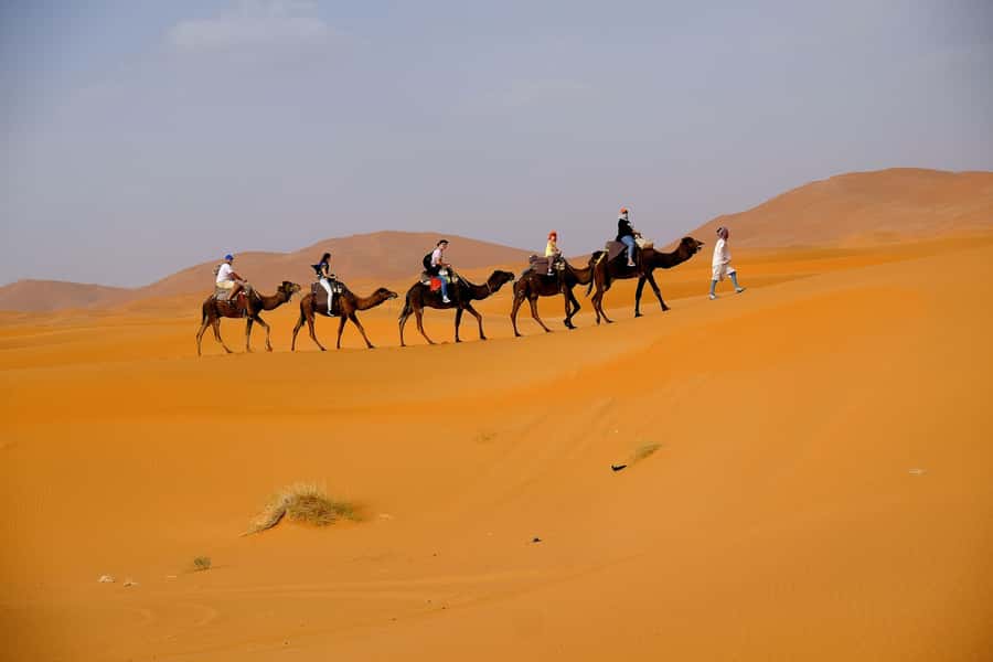 From Fes: 2-Day Merzouga Desert Trip w/Luxury Tent & Dinner - Camel tracks, sandboarding, and sunset on Erb Chebbi