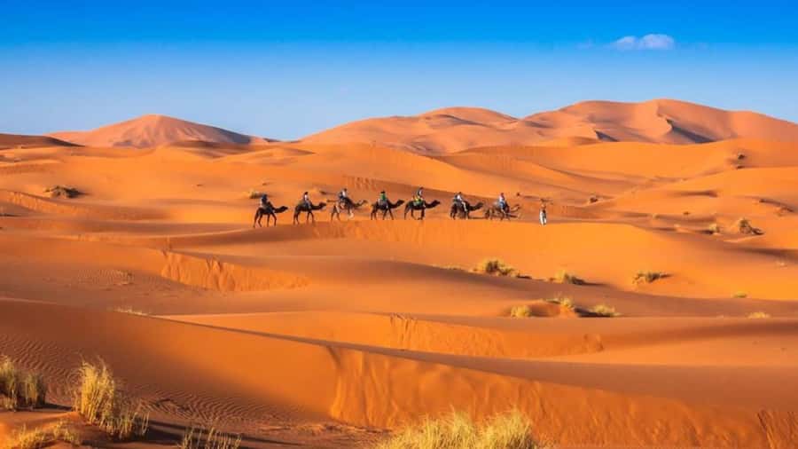 From Fes: 2-Day Merzouga Desert Trip w/Luxury Tent & Dinner - The luxury camp is comfortable, not rugged