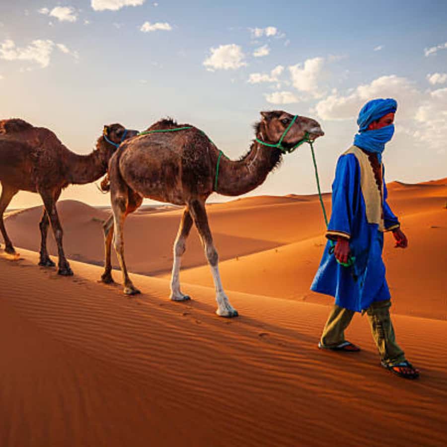 From Fes: 2 Day Round Trip Via Merzouga Desert & Camel Trek - Key points at a glance