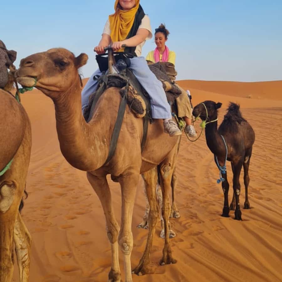 From Fes: 2 Day Round Trip Via Merzouga Desert & Camel Trek - From Fes to Ifrane by 7:30 a.m.