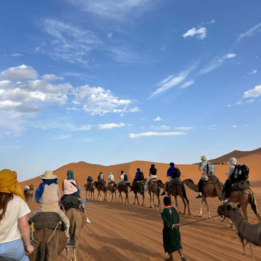 From Fes: 2 Day Round Trip Via Merzouga Desert & Camel Trek - Cedar forests and Barbary monkeys in the Middle Atlas