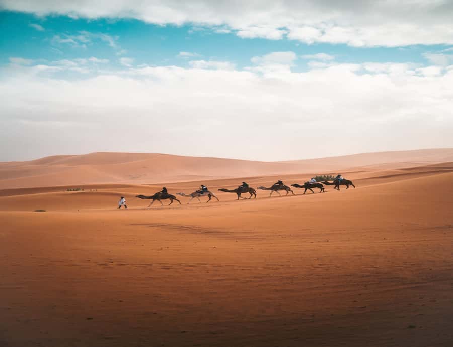 From Fes: 3-Day 2-Night Desert Tour to Marrakech - Why this three-day route works