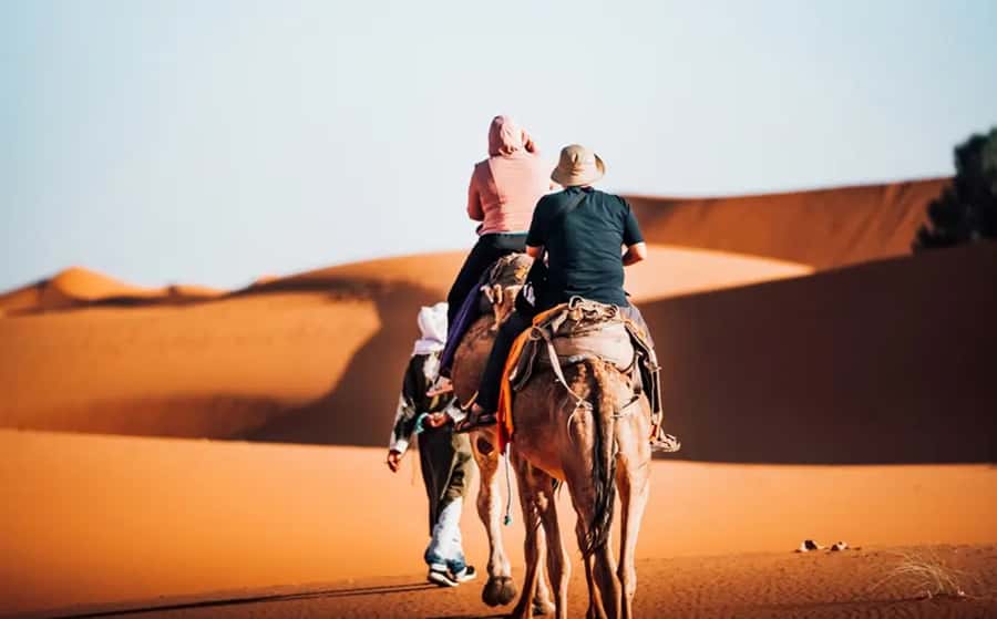 From Fes: 3-Day Luxury Desert Tour to Marrakech via Merzouga - Key points to know before booking