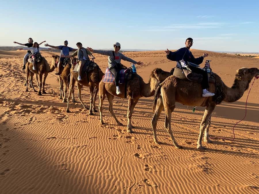 From Fes: 3-Day Luxury Desert Tour to Marrakech via Merzouga - Should you book the Fes to Marrakech desert tour?