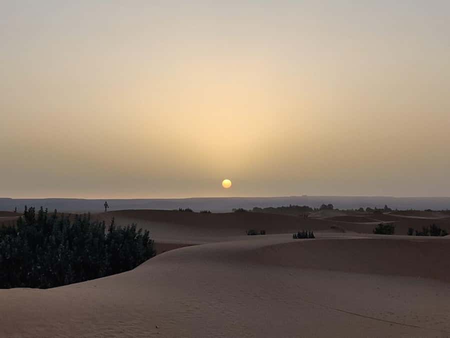 From Fes: 3-Day Luxury Desert Tour to Marrakech via Merzouga - Food, hotels, and the luxury choice