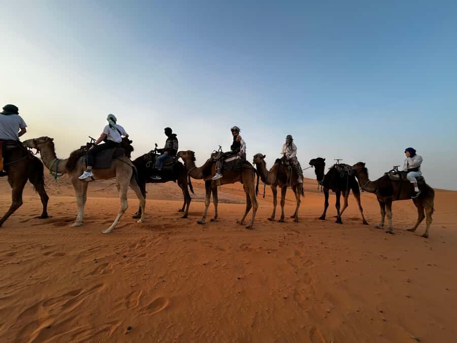 From Fes: 3 Days and 2 Nights Desert Trip to Marrakech - From Fes to the cedar forest near Azrou