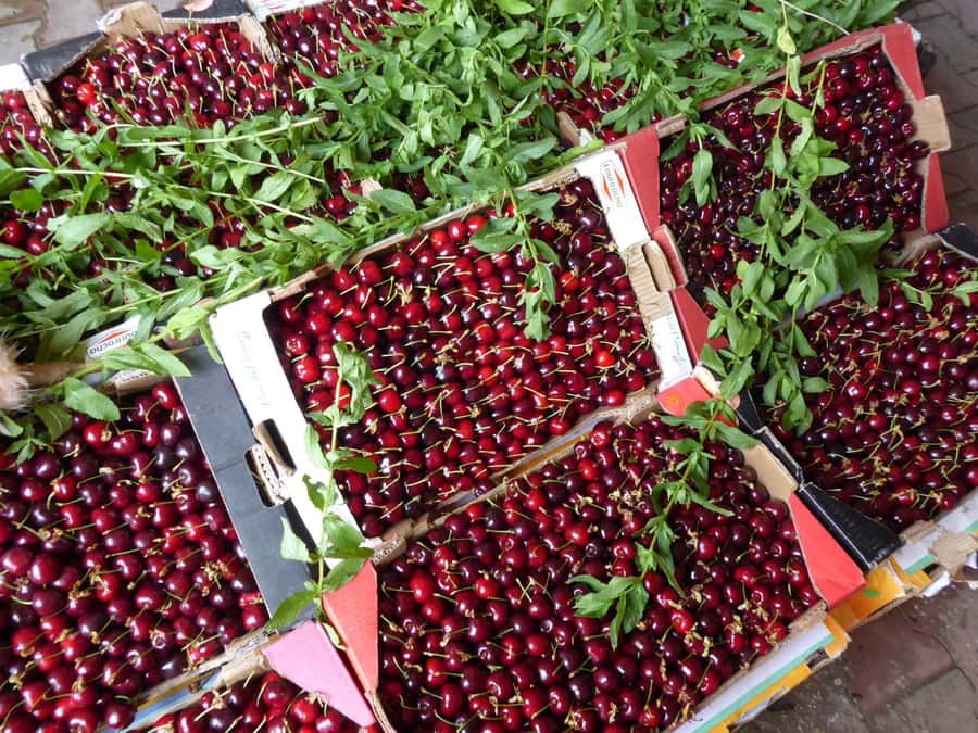 From Fes: Day trip to Sefrou & Bhalil - Why Sefrou and Bhalil make a good break from Fes