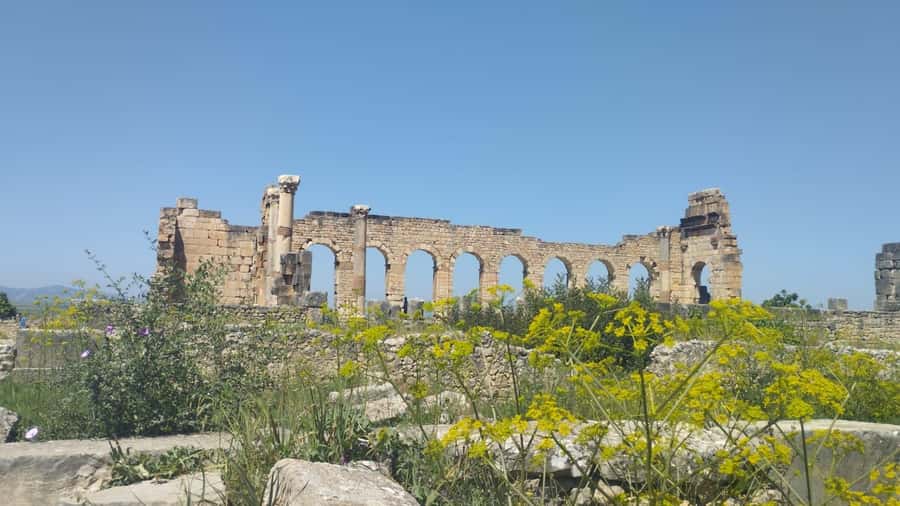 From Fes: Meknes Volubilis and Moulay Idriss Day Trip - FAQ