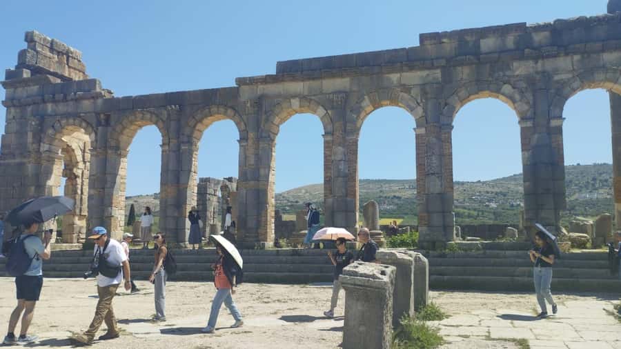 From Fes: Meknes Volubilis and Moulay Idriss Day Trip - Should you book the Meknes and Volubilis day trip?