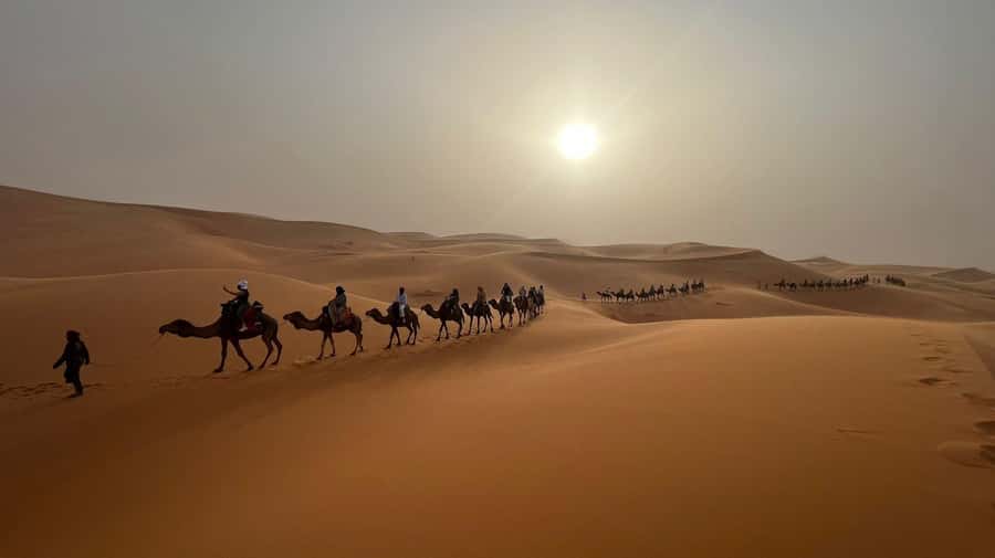 From Fes to Marrakech: 3-Day Sahara Desert Discovery Tour - Should you book the Fes to Marrakech desert tour?