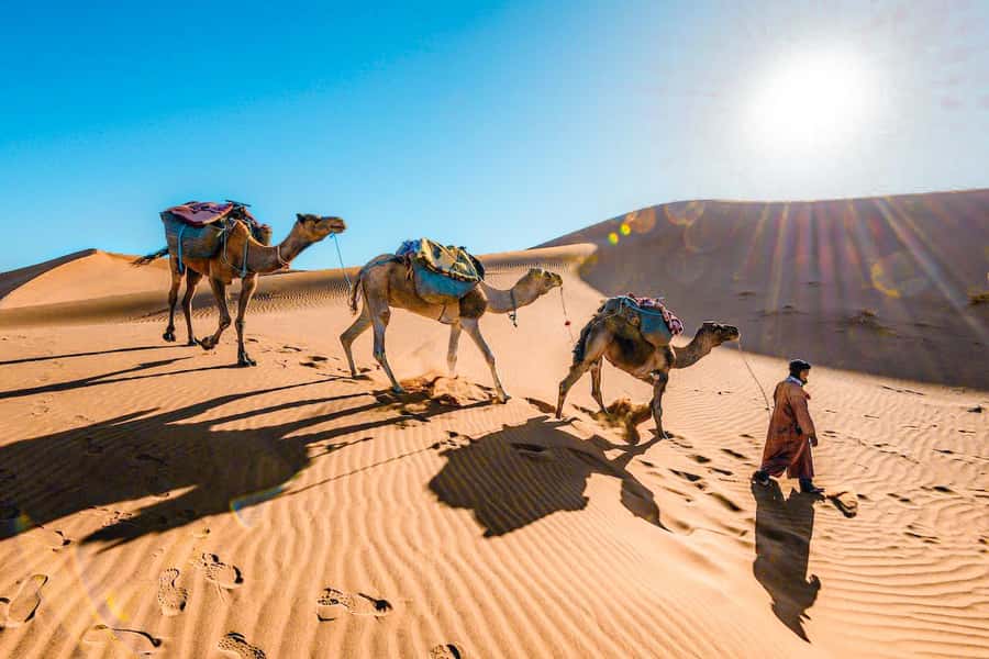 From Fes to Marrakech: 3-Day Sahara Desert Discovery Tour - Day 1: Fes to the Sahara through Ifrane and the Ziz Valley