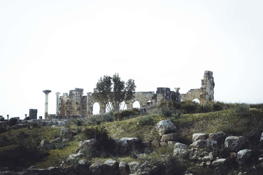 From Fes: Volubilis, Moulay Idriss and Meknes Full-Day Trip - Why Volubilis deserves the longest look