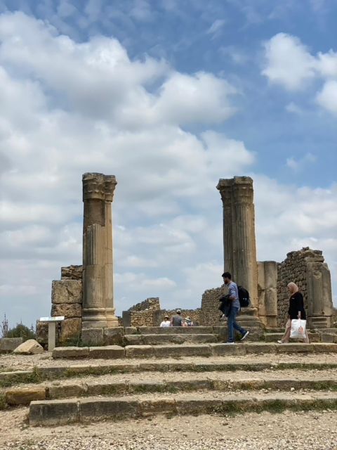 From Fes: Volubilis, Moulay Idriss, & Meknes Full-Day Trip - The long-day trade-offs