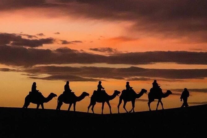 From Fez: 2-Day Desert Tour with Return to Fez or Marrakech - Guides, communication, and the shared-van factor