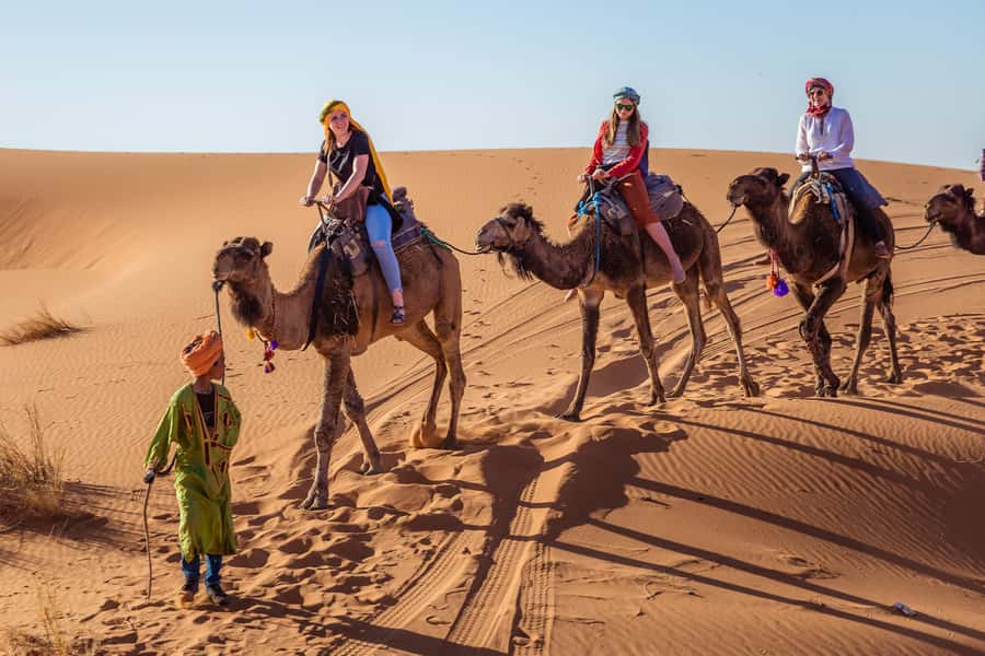 From Fez: 2-Days Desert Tour to Marrakech via Merzouga - Key points to know before booking