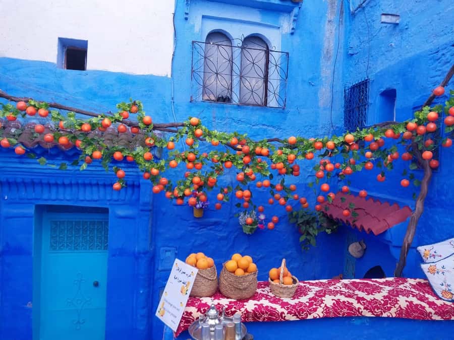 From Fez: Day Tour to the Blue Town of Chefchaouen - The return to Fez after a full day out