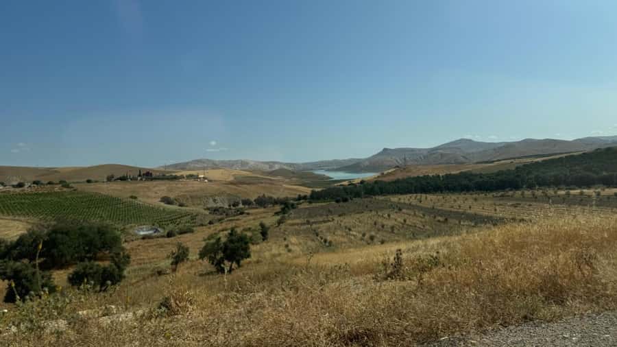 From Fez: Meknes, Volubilis and Moulay Idriss Day Trip - The timing, transport, and small practical points