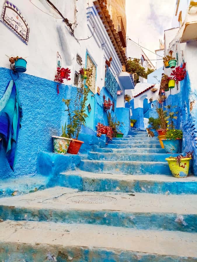 From Fez : Memorable Day Trip to Chefchaouen the Blue City - Why Chefchaouen makes a worthwhile day from Fez