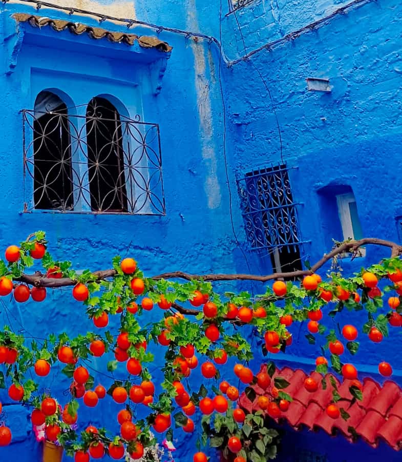 From Fez : Memorable Day Trip to Chefchaouen the Blue City - The first view of Chefchaouen from above