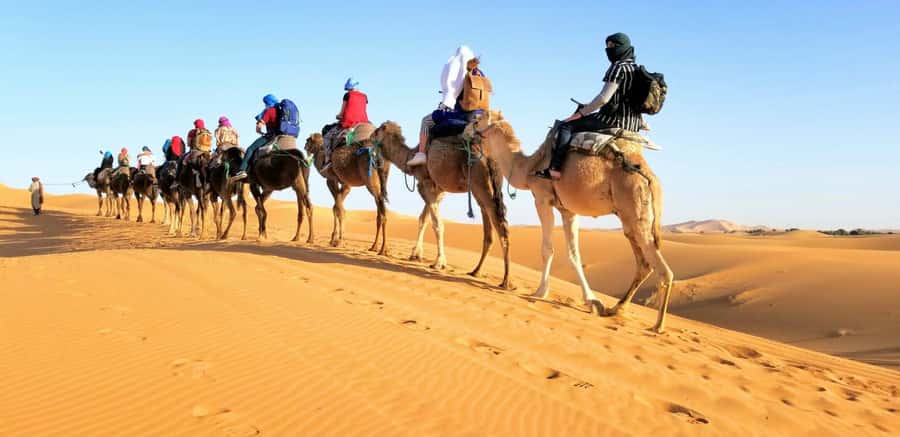 From Fez: Round-Trip Overnight Merzouga Desert Tour - Key things to know before booking