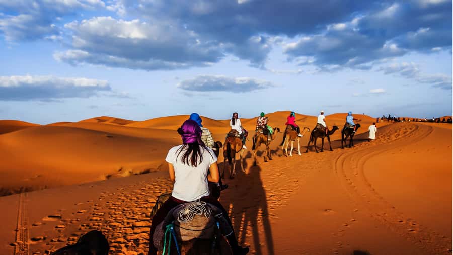 From Fez: Sahara Desert 2-Day Tour with Merzouga Camp Stay - From Fez to Ifran and the Middle Atlas