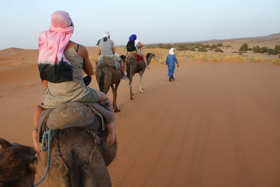 From Marrakech: 2-Day Sahara Tour to Zagora & Ait Ben Haddou - Who should book this Zagora trip?