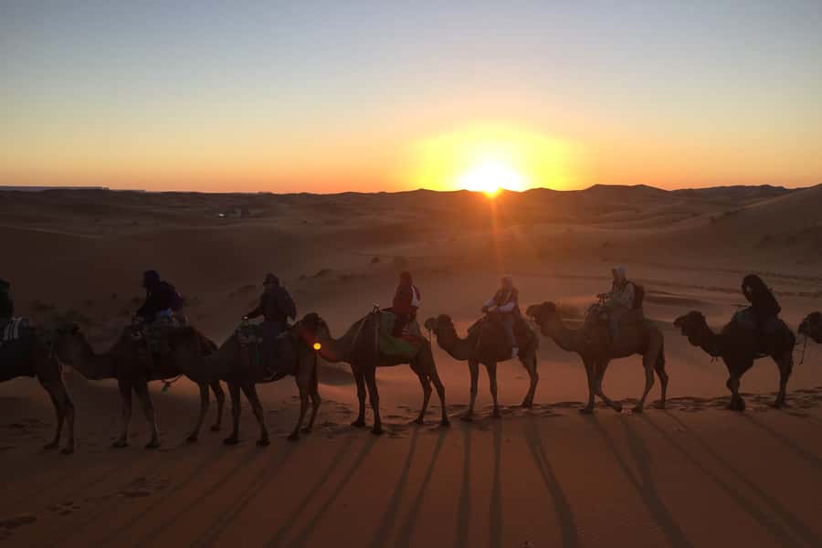 From Marrakech: 2-Day Sahara Tour to Zagora & Ait Ben Haddou - Dinner, music, and a night under canvas