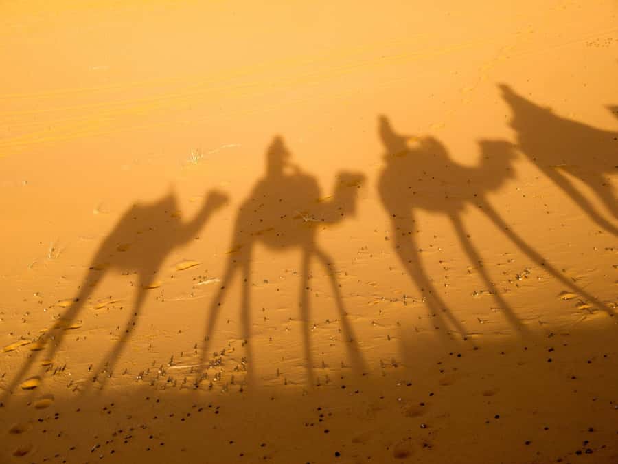 From Marrakech: 2-Day Zagora Desert Camp Trip - Sunrise, breakfast, and the return camel ride